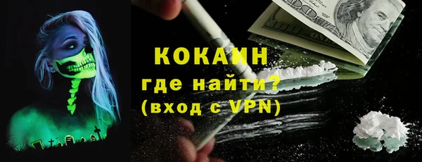 ГАЛЛЮЦИНОГЕННЫЕ ГРИБЫ Богданович
