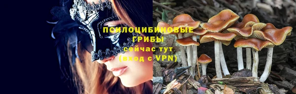 ГАЛЛЮЦИНОГЕННЫЕ ГРИБЫ Богданович