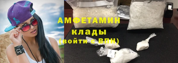 ГАЛЛЮЦИНОГЕННЫЕ ГРИБЫ Богданович