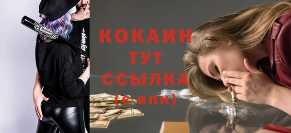 ГАЛЛЮЦИНОГЕННЫЕ ГРИБЫ Богданович