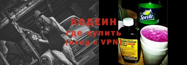 ГАЛЛЮЦИНОГЕННЫЕ ГРИБЫ Богданович