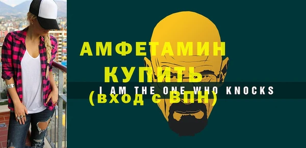 ГАЛЛЮЦИНОГЕННЫЕ ГРИБЫ Богданович
