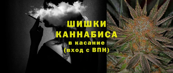 экстази Бородино