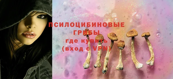 экстази Бородино